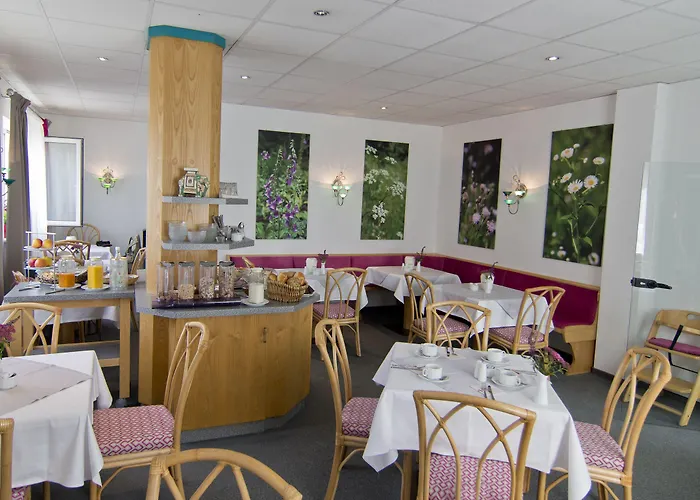 게스트하우스 알파